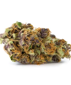 TANGERINE DREAM